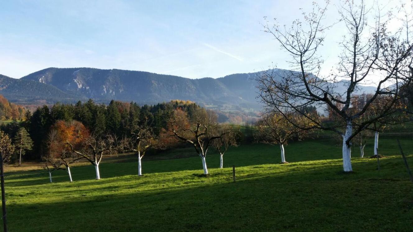 Weissnhof Vila Samerberg Exterior foto