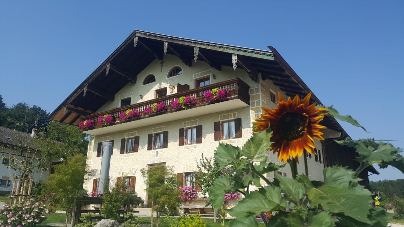 Weissnhof Vila Samerberg Exterior foto
